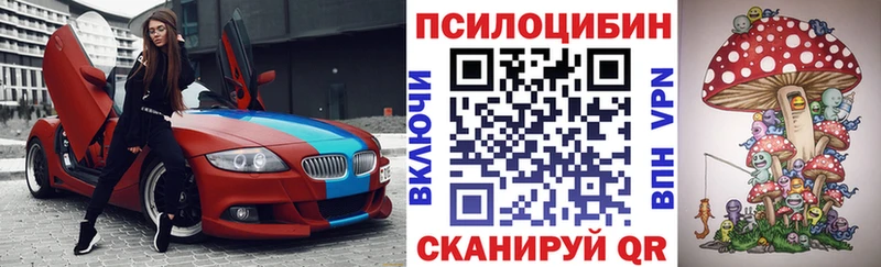 Галлюциногенные грибы Magic Shrooms  где продают   Владимир 
