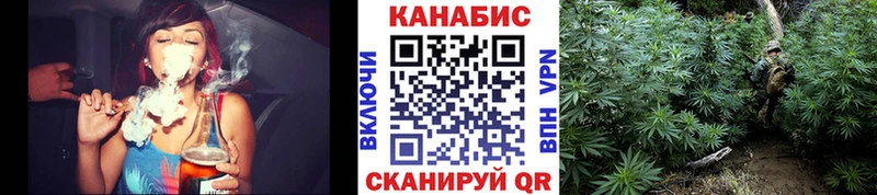 Бошки марихуана SATIVA & INDICA  Владимир 